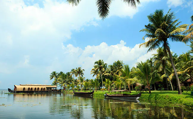 BACKWATERS IN ALL ITS GLORY